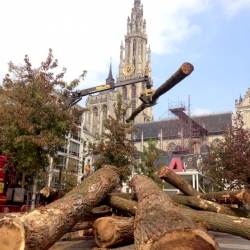 Flying trees @ Groenplaats Antwerpen!